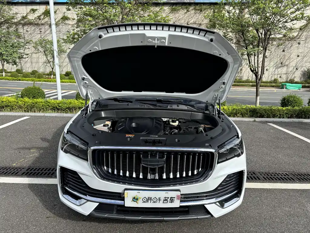 Geely Xingyue L 2023 — фото 15