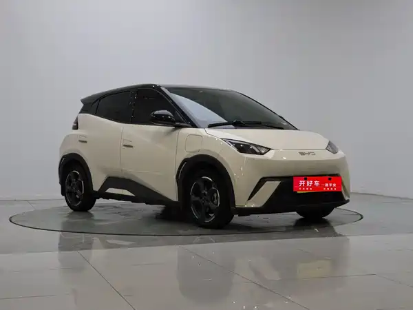 BYD Seagull 2024