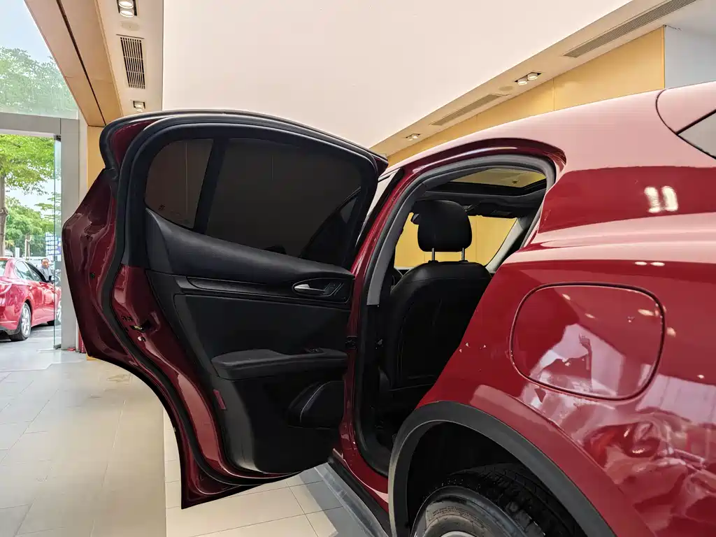 Alfa Romeo Stelvio 2019 — фото 21