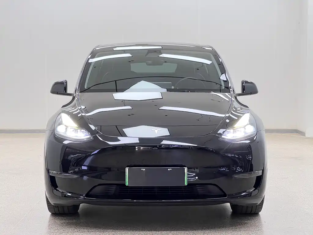 Tesla Model Y 2021 — фото 2