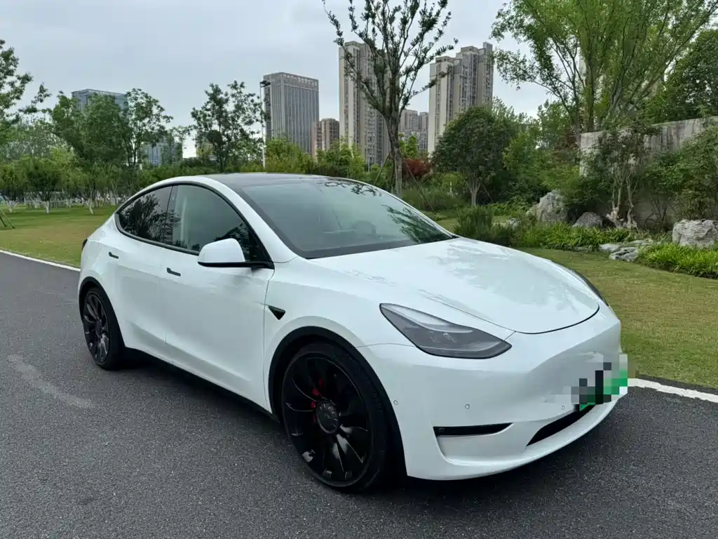 Tesla Model Y 2022 — фото 1
