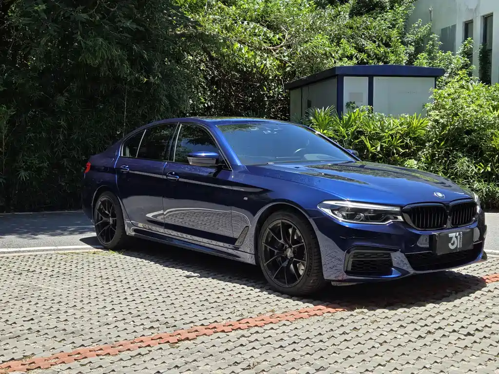 BMW 5 Series 2020