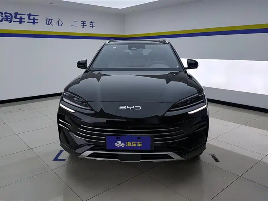 BYD PLUS New Energy 2025 — фото 2