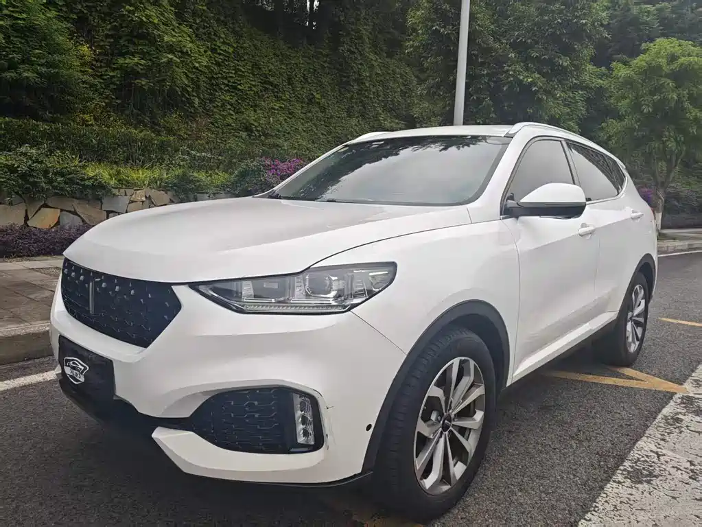Wey VV6 2018