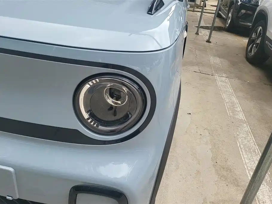 Galaxy Panda 2026