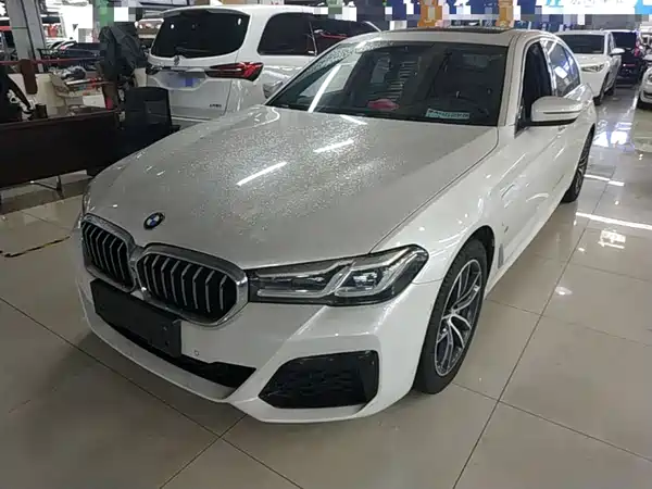 BMW 5 Series New Energy 2021