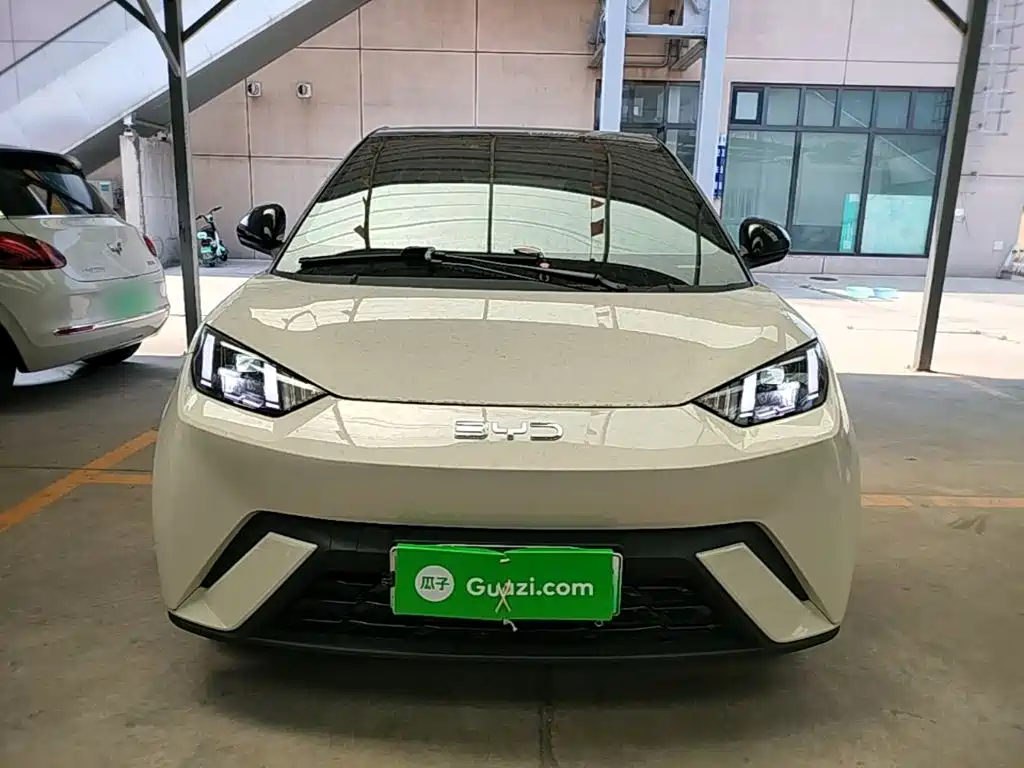 BYD Seagull 2024