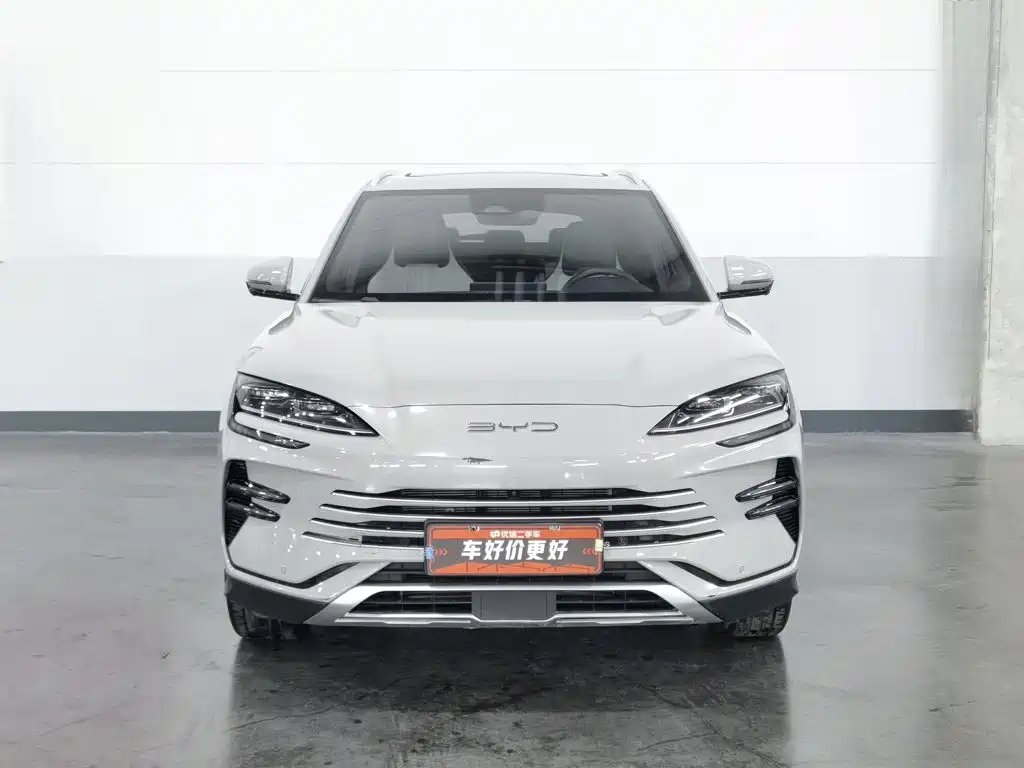 BYD Song PLUS New Energy 2024 — фото 3
