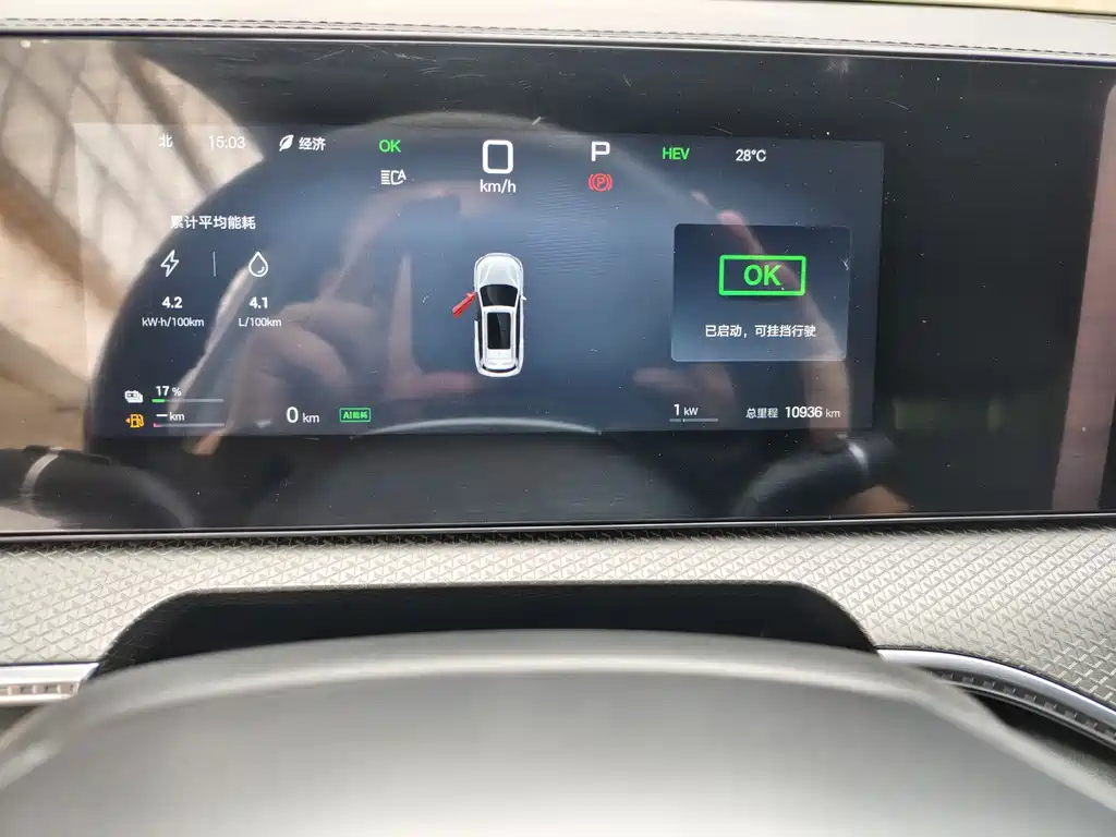 BYD Pro New Energy 2025 — фото 13