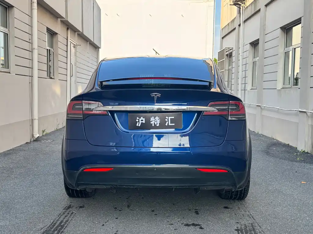 Tesla Model X 2017 — фото 5