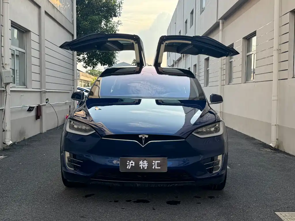 Tesla Model X 2017 — фото 14
