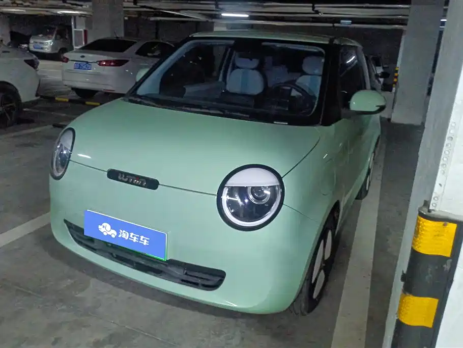 Qiyuan Lumin 2024