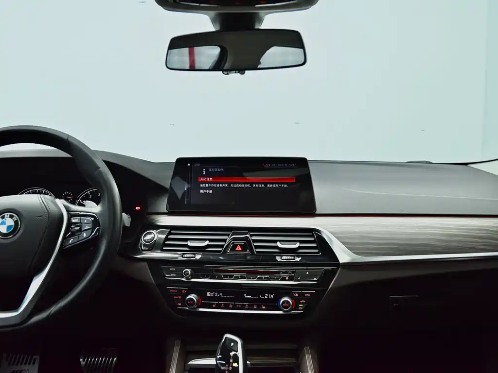 BMW 5 Series 2018 — фото 13