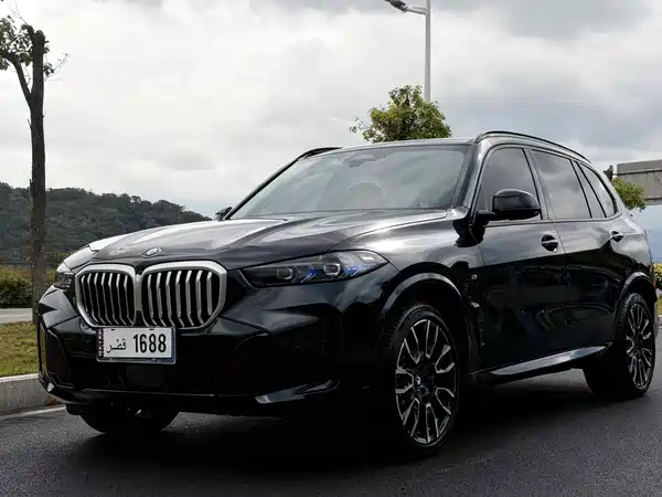 BMW X5 2024