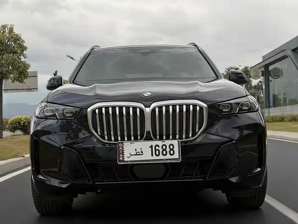 BMW X5 2024