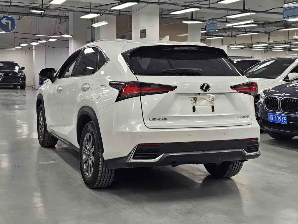 Lexus NX 2020 — фото 15