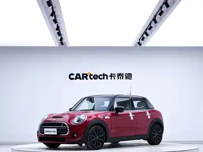 MINI MINI 2019