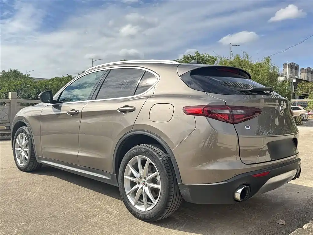 Alfa Romeo Stelvio 2019 — фото 21