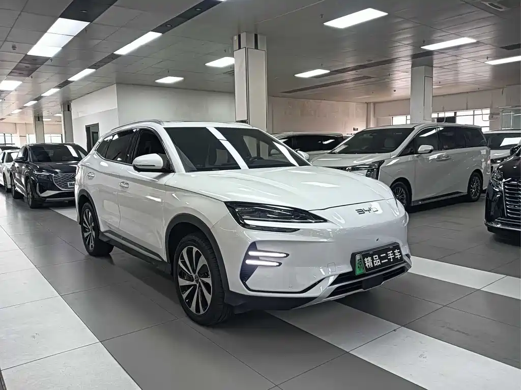 BYD PLUS New Energy 2023 — фото 2