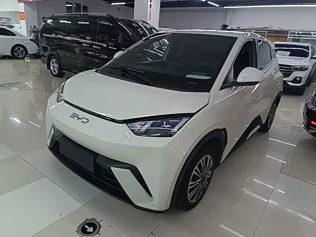BYD Seagull 2024