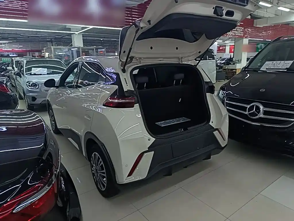BYD Seagull 2024