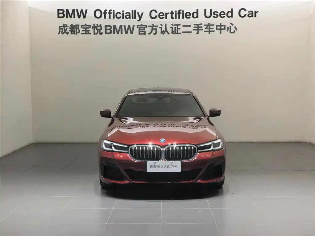 BMW 5 Series New Energy 2022