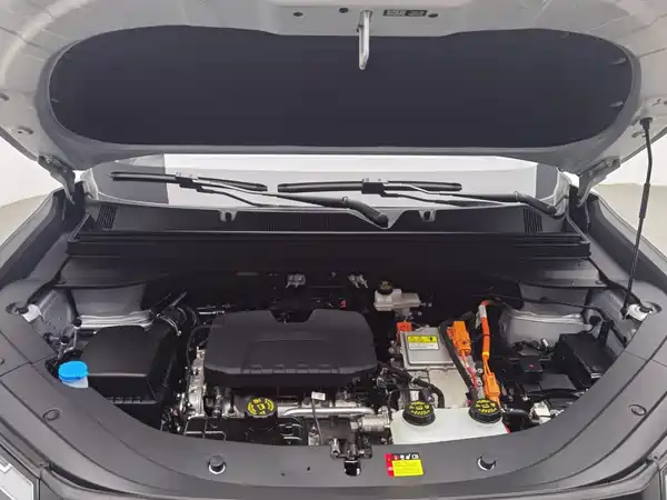 Wuling Starlight 560 New Energy 2026