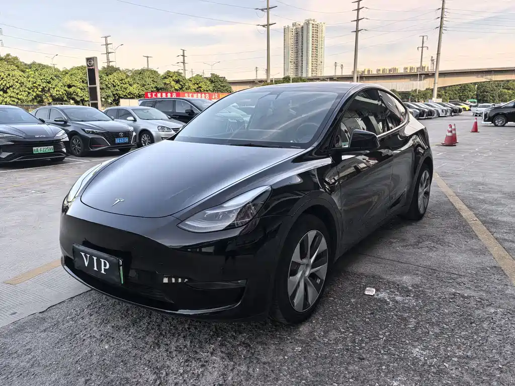 Tesla Model Y 2021 — фото 1