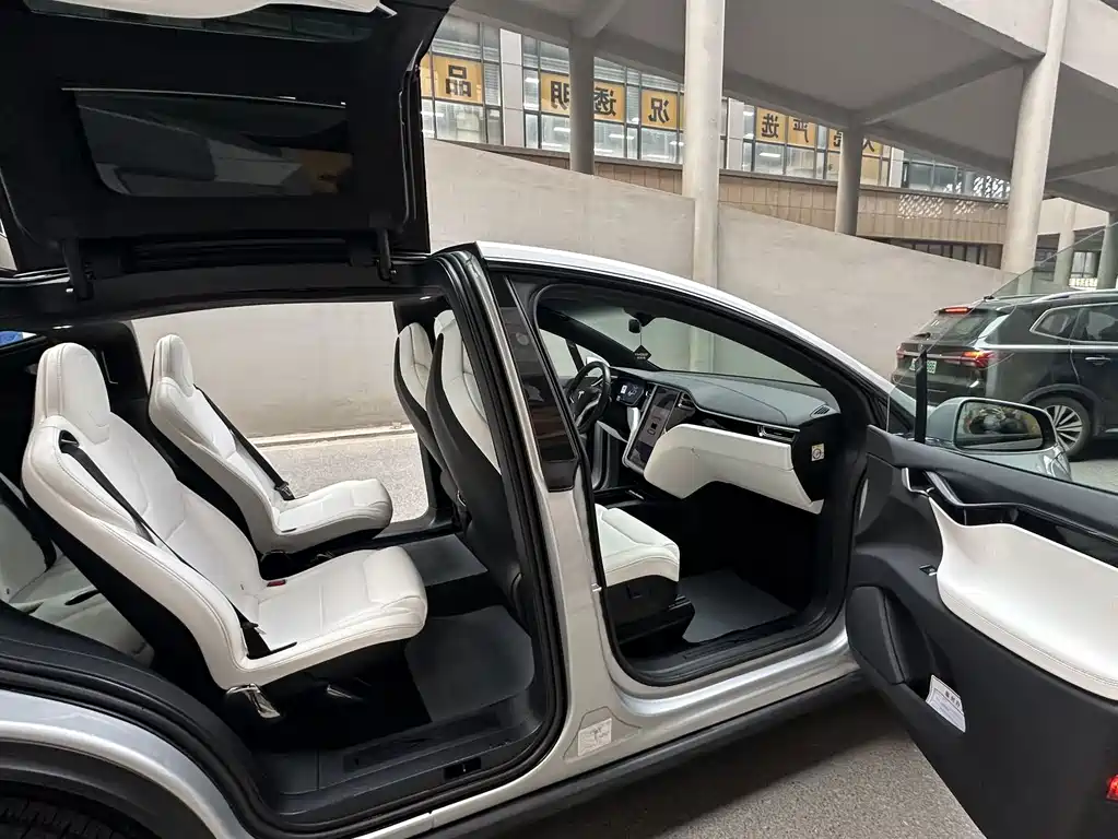 Tesla Model X 2018 — фото 10