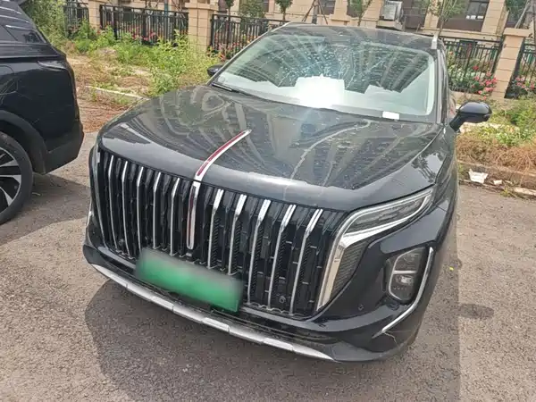 Hongqi HS7 PHEV 2024