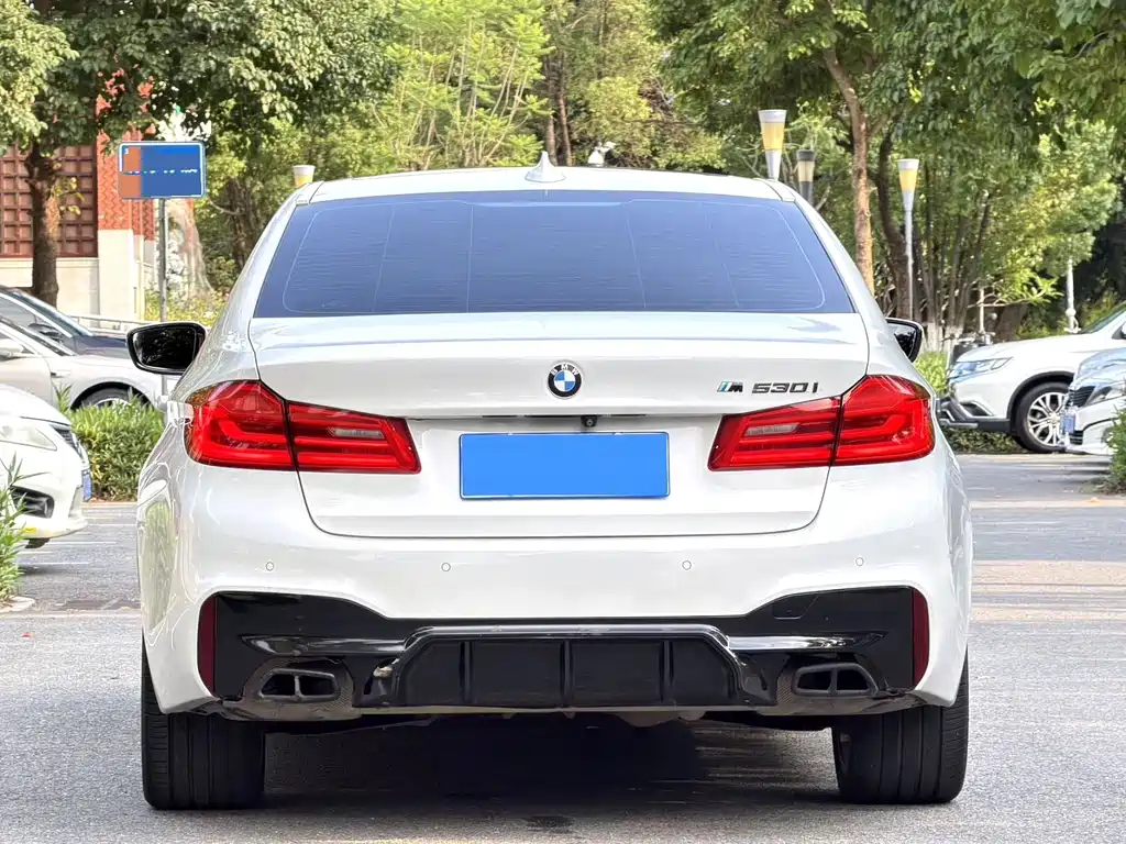 BMW 5 Series 2019