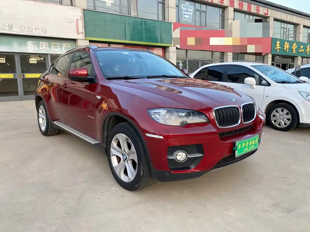 BMW X6 2010