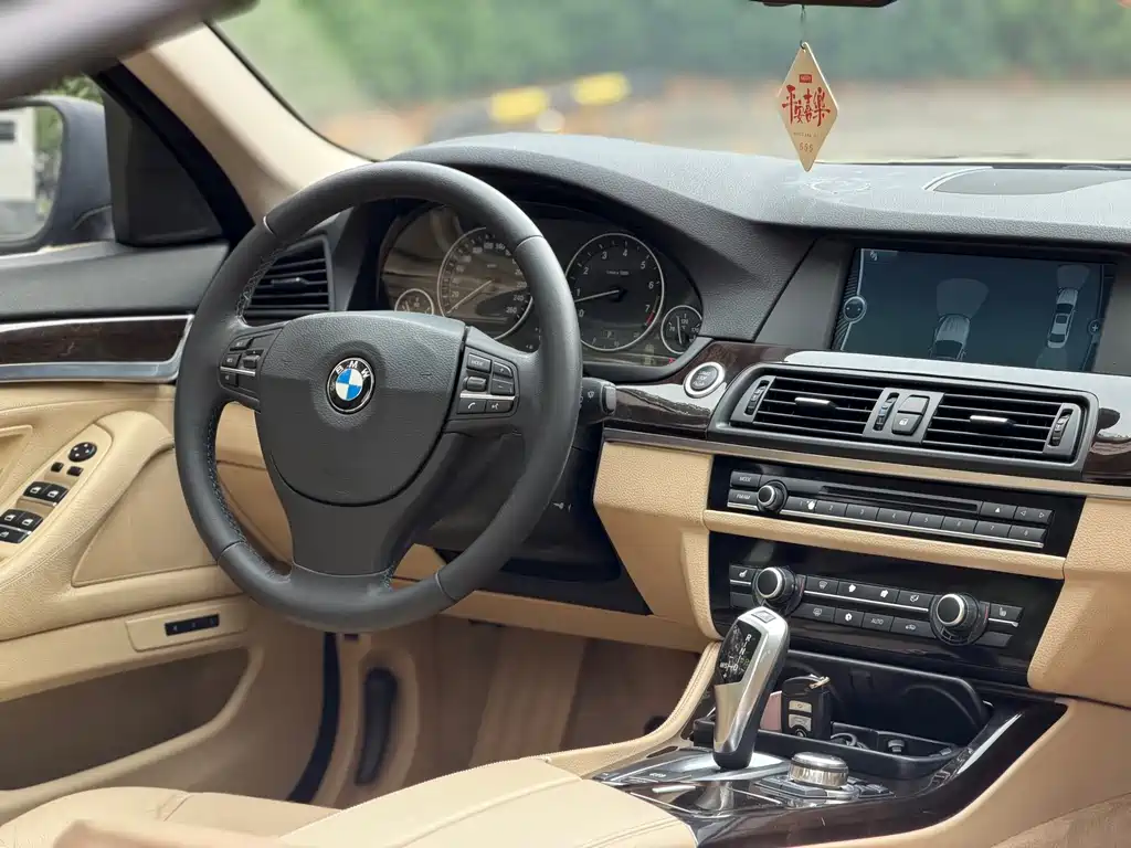 BMW 5 Series 2010 — фото 11