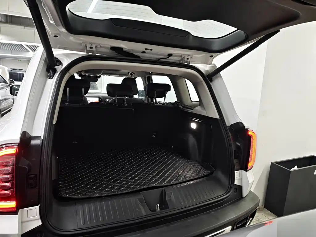 Haval Big Dog 2021 — фото 15