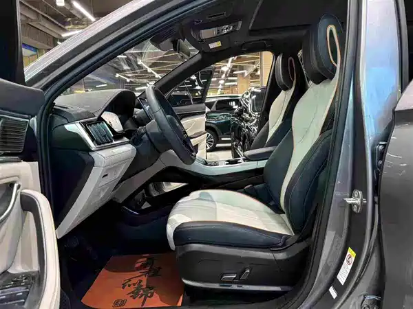 BYD Song PLUS New Energy 2024