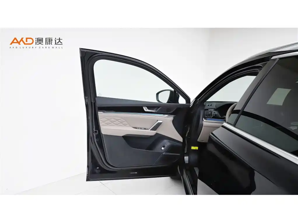 BYD Tang New Energy 2024 — фото 10