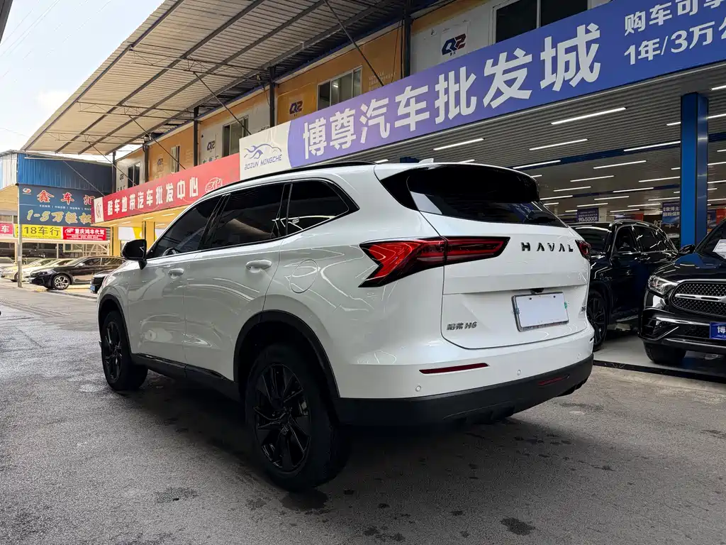 Haval H6 2024 — фото 24