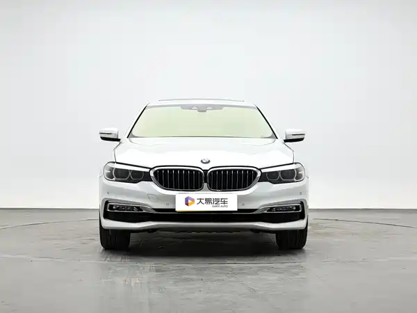 BMW 5 Series New Energy 2018