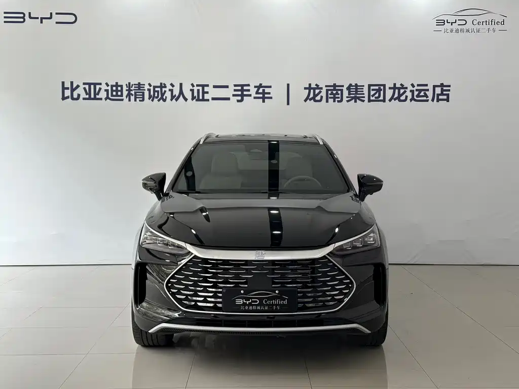 BYD Tang New Energy 2024 — фото 2