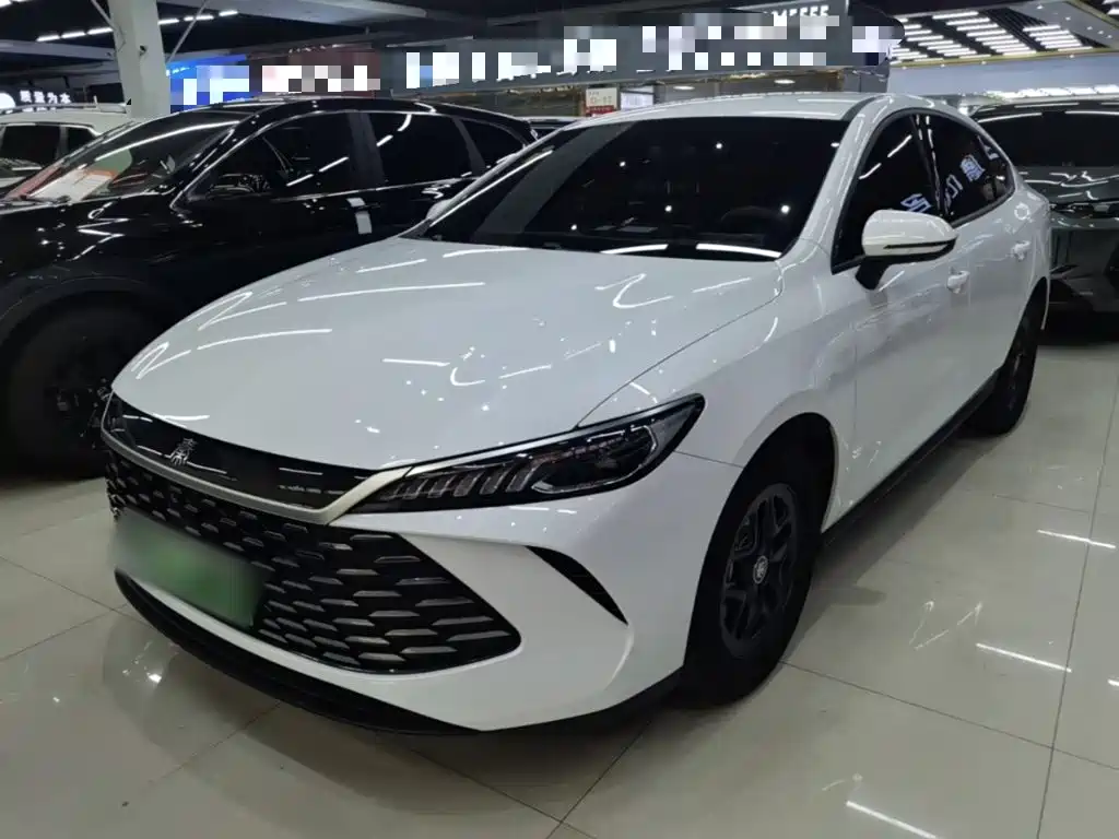 BYD Qin PLUS 2025 — фото 2