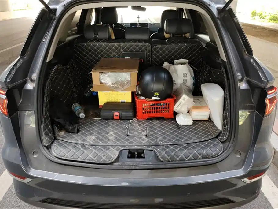 BYD Pro New Energy 2020