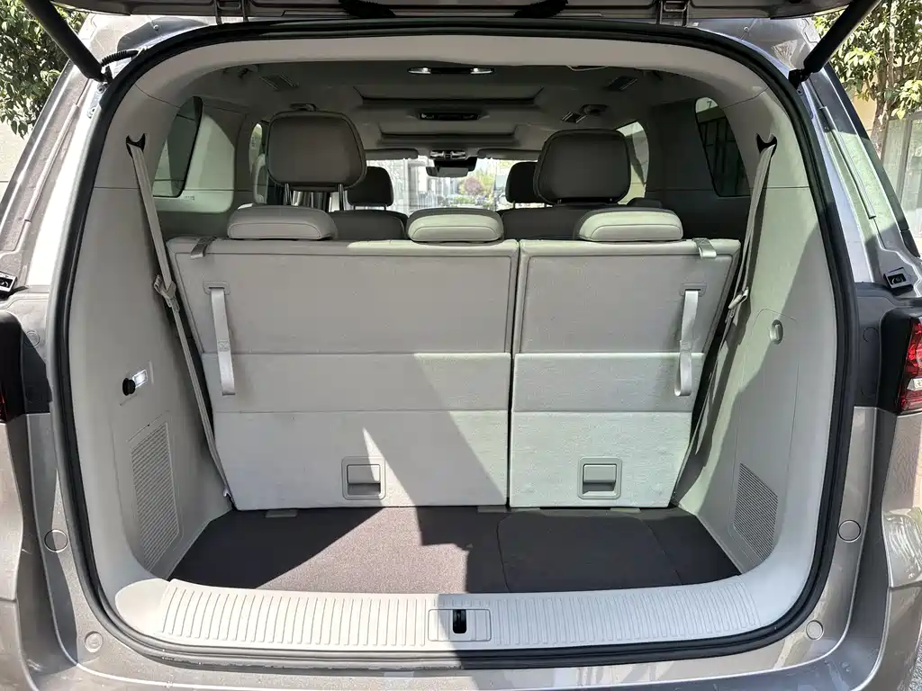 Roewe iMAX8 New Energy 2025 — фото 18