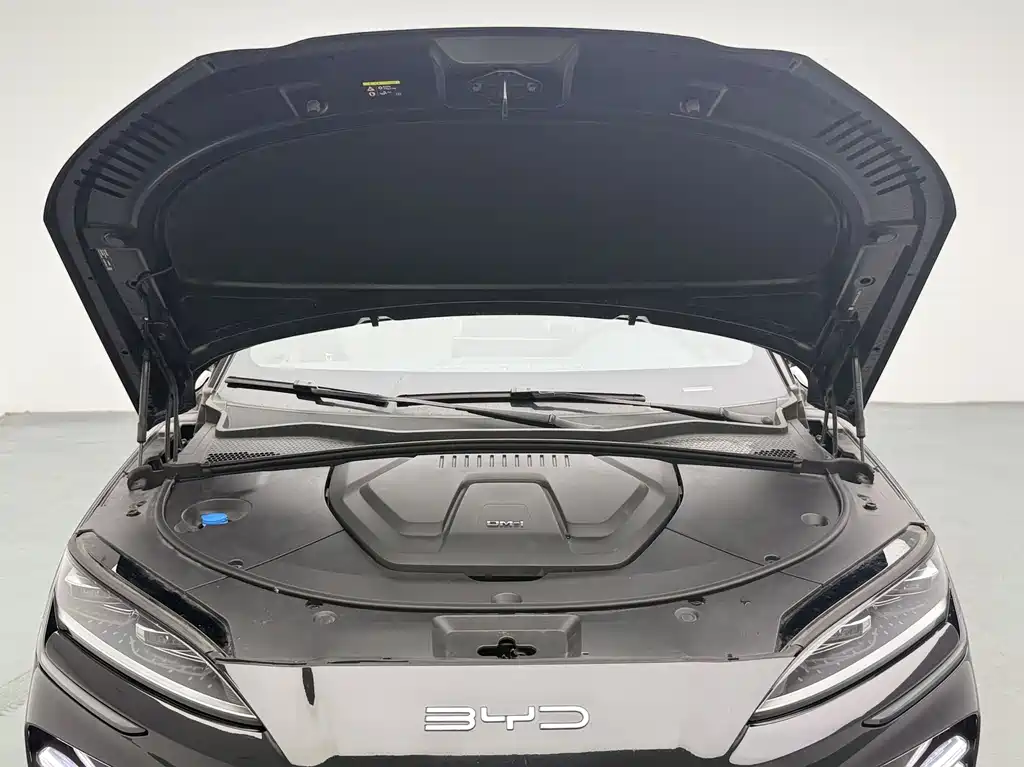 BYD PLUS New Energy 2024 — фото 12