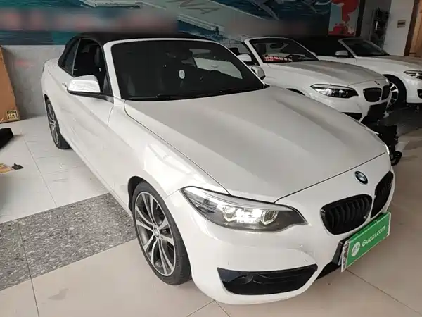 BMW 2 Series 2019