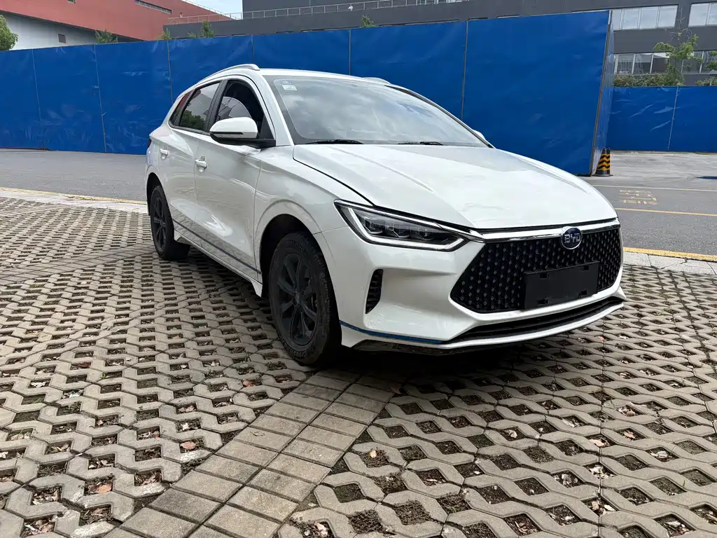 BYD e2 2020