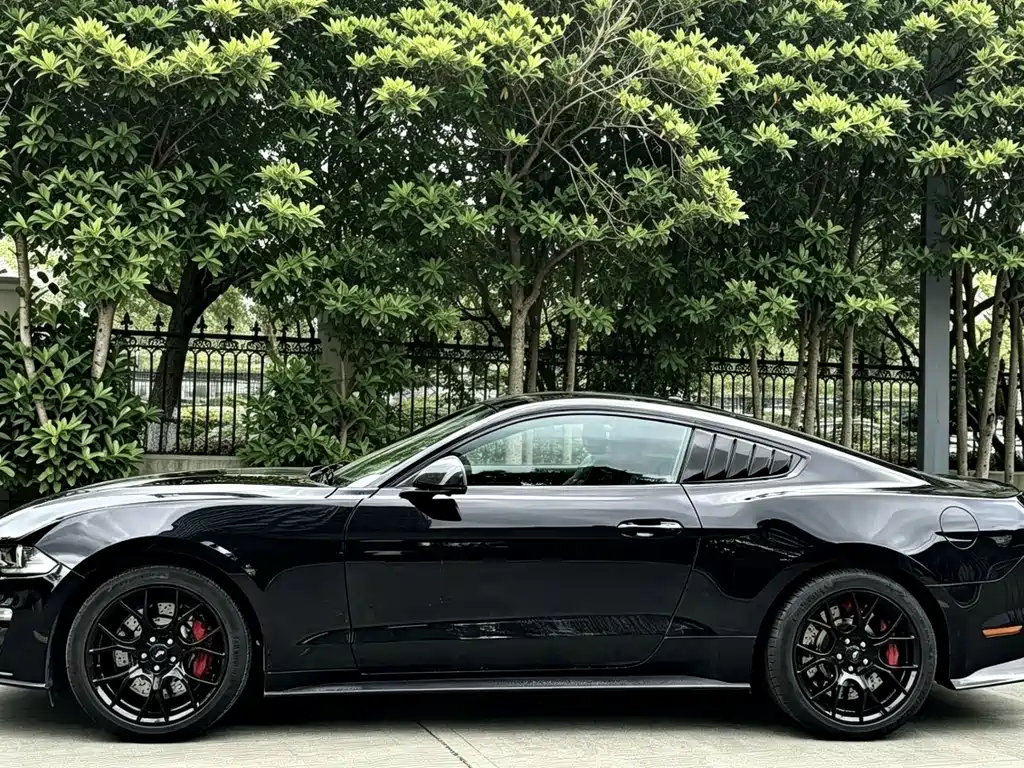 Ford Mustang 2019 — фото 14