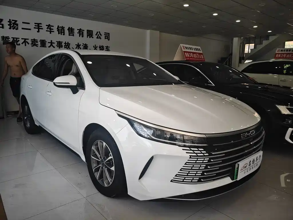 BYD Destroyer 05 2024 — фото 3