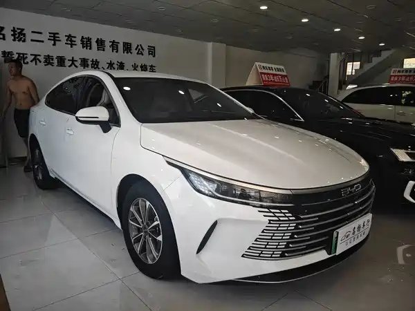 BYD Destroyer 05 2024