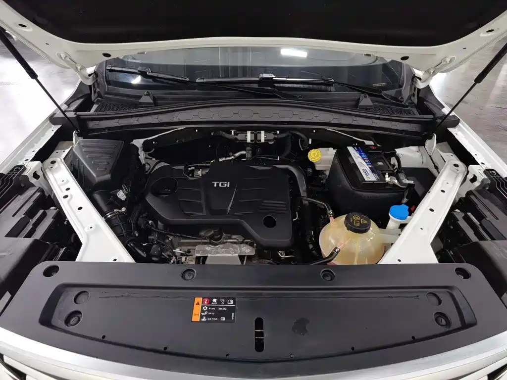 Roewe RX5 MAX 2020 — фото 6