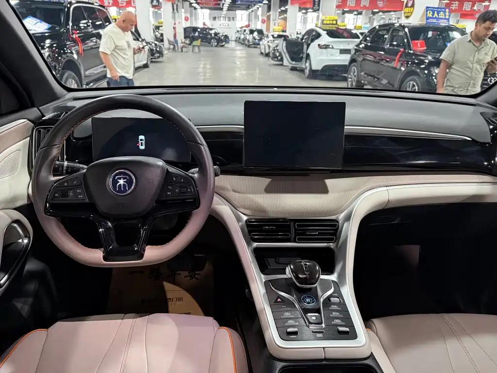 BYD Song Pro New Energy 2024 — фото 7
